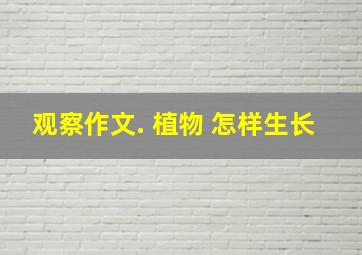 观察作文. 植物 怎样生长